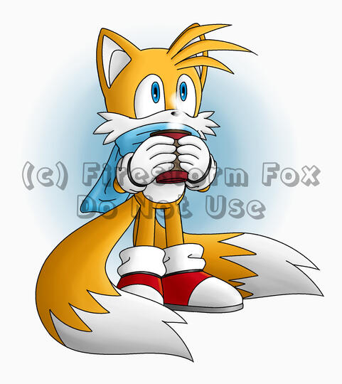 Cozy Tails, 2019