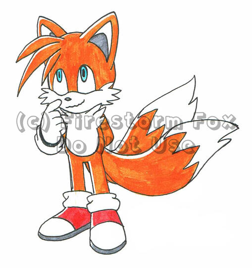 Tails Markers, 2019