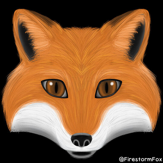 Fox Face, 2022