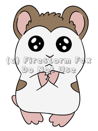 Timid Mochi, 2019