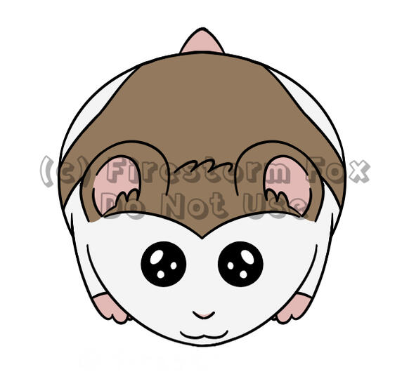 Mochi Drop, 2019
