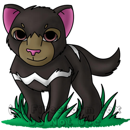 Taz, 2018