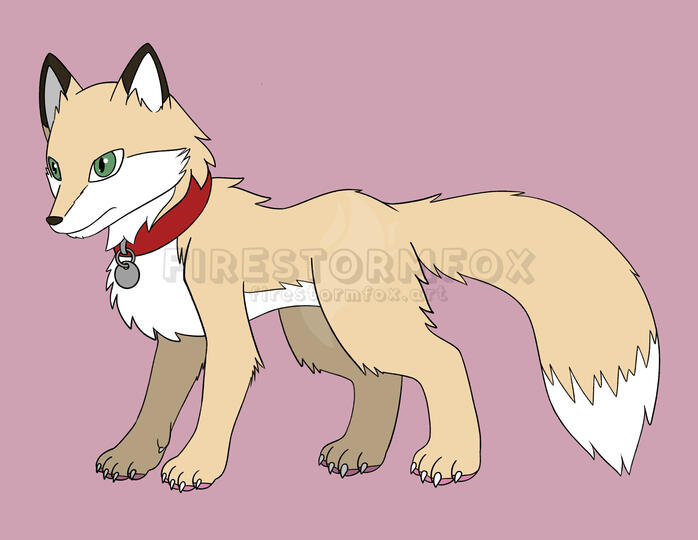Pet Fox, 2021