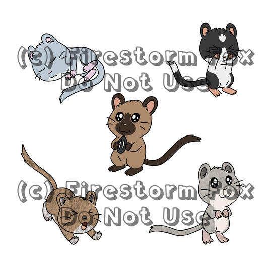 Gerbils, 2019