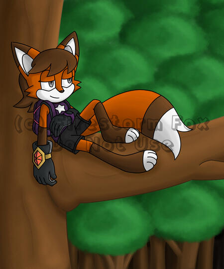 Cinder Mystic Ruins, 2019