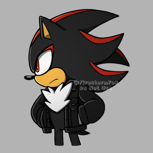 Shadow in Jean Jacket Hoodie, 2023