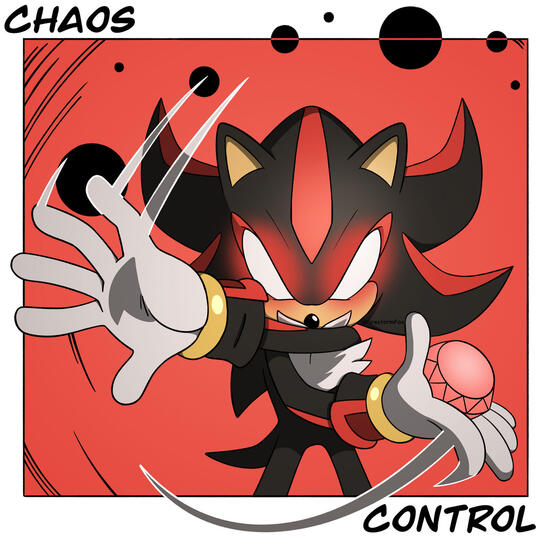Chaos Control Shadow, 2025